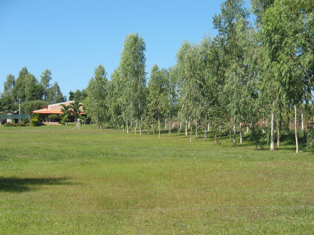 Granja (ex- producción Avícola Parrilleros)
